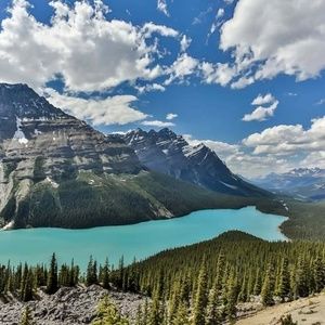 Meet your Posher, Kaleena